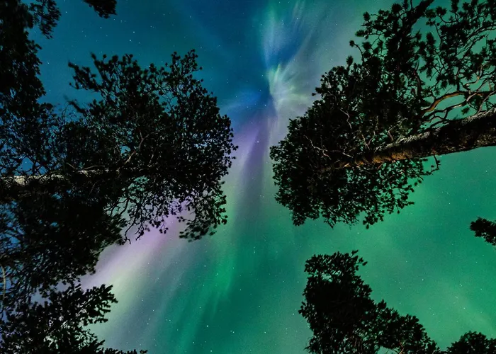 Polaris Blaekk 穆奥尼奥